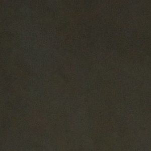 Meet your Posher, Evan